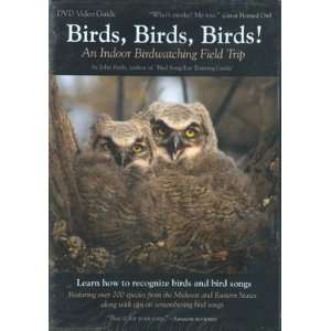 New John Feith  Birds Birds Birds Birds Birds Birds DVD High Quality 