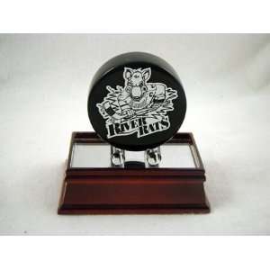  Albany River Rats Logo Solid Marble Puck Sports 
