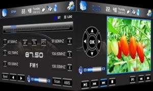3D MENU 7 CAR STEREO DVD PLAYER DVB T TV GPS NAVI PIP  