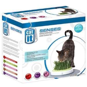  Grass Garden   Cat Grass Growing Kit (Quantity of 2 