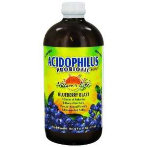  Natures Life Pro 96 Acidophilus Probiotic Blueberry    16 fl 