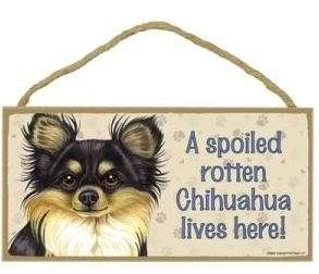 Spoiled Rotten Chihuahua Wood Sign Plaque Dog Chi  