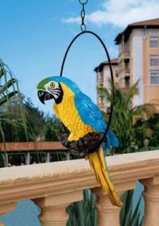 Tropical Parrot on Ring Perch Sculpture Patio Poolside   Medium  