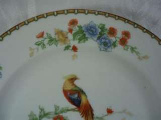 Altrohlau Golden Pheasant Salad Plate(s)  
