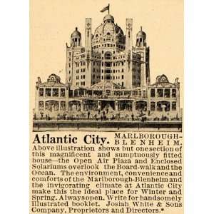   Blenheim Hotel Lodge Atlantic City   Original Print Ad