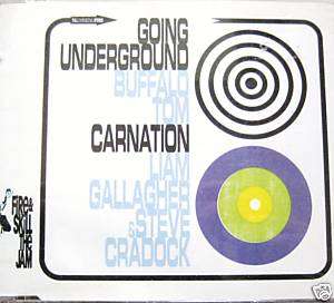 BUFFALO TOM CD Single  Going Underground (mint)  