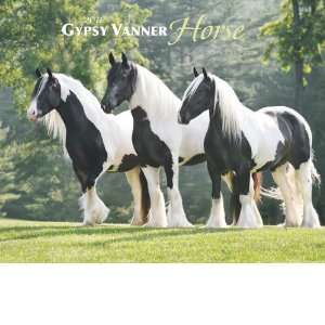  Gypsy Vanner Horse 2011 Wall Calendar