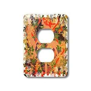  Acrylic Art   Mythology Diana and Her Nymphs   Light Switch Covers 