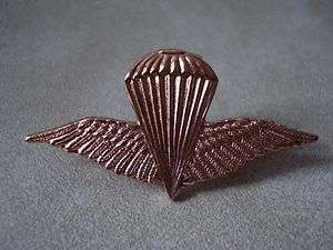 Iraqi Air Force & Special Force JUMP Wings Pin Beret Badge  
