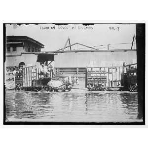  Photo Horse drawn shoe wagons flooded levee, St. Louis 