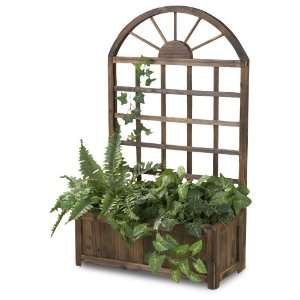  Arched Trellis and Planter Box