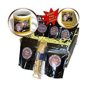   Big Cat Designs   Bengal Tiger Resting   Coffee Gift Baskets   Coffee