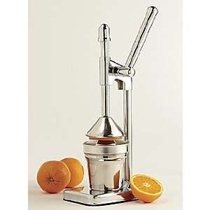  Juicer and Blenders Stainless Steel Juicer Everything 