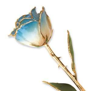 Long Stem 24k Dipped Gold Trim White & Navy Blue Pearl Rose With Gift 