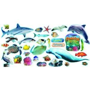  Coastal Sea Life Mini Bulletin Board Set Toys & Games