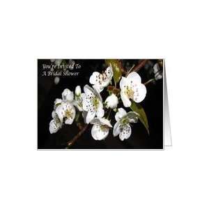 Bridal shower Invitation Pear Blossoms Card