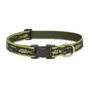  1 Brook Trout 18 31 Adjustable Collar