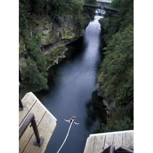  Bungee Jumping, Vancouver Island, British Columbia, Canada 
