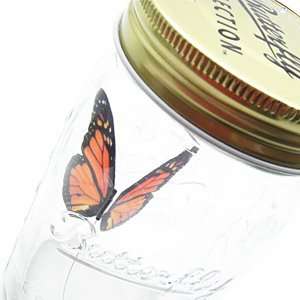 Butterfly in a Jar   Monarch 