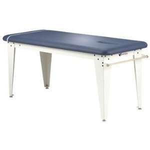  Earthlite Esquire Massage Table