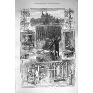  1874 Hop Harvest Drying Shed Kiln Fire Oast House Vines 