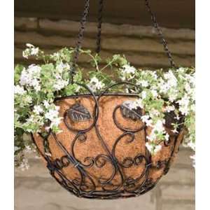   14 New Oak & Scroll Hanging Basket   Case of 4 Patio, Lawn & Garden