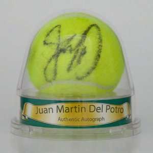  Juan Martin Del Potro Autographed Tennis Ball Sports 
