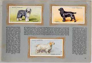   Album & Cards, WD & HO Wills, DOGS, Breeds, Alsatian etc, 1937  