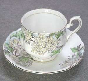 RoyaL Albert Flower of the Month Cup & Saucer, HAWTHORN  