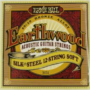 Ball Twelve String Acoustic Guitar   Earthwood Silk & Steel 12 String 