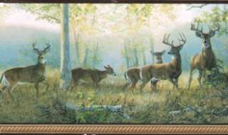 COUNTRY DEER & DOES IN THE WOODS Wallpaper bordeR Wall  