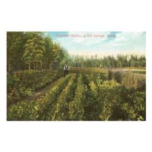  Hot Springs, Alaska Vegetable Garden Premium Poster Print 