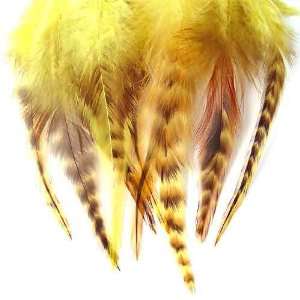  5 Pcs New Grizzly Real Natural Feather Hair Extensions 