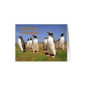  Happy Birthday to My Husband greeting card,penguins in 