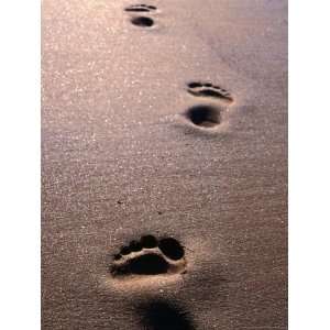  Footprints in the Sand of Eco Beach, South of Broome 