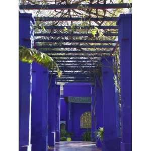  Villa Exterior, Jardin Majorelle and Museum of Islamic Art 