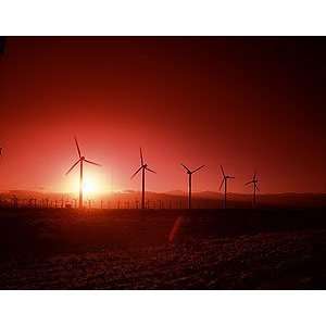  California Wind Turbines at Sunset Photograph   Beautiful 