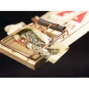  American Dollar Bill Caught in Mousetrap Photographic 