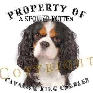  Cavalier King Charles TRI Mousepad Dog Mouse Pad Property 