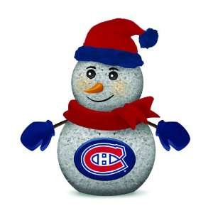  Pack of 2 NHL Montreal Canadiens LED Lighted Christmas 
