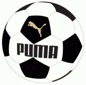 Puma King Force 6.11 Training Football 081840 01  