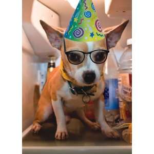  BIRTHDAY W/ DOG IN PARTY HAT