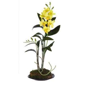   Dendrobium w/Black Circle Dish Silk Flower Arrangement