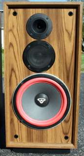 AWESOME CERWIN VEGA DX 3 SPEAKERS PARTY ON,ROCK & ROLL  