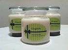 gingerale scented 16 oz apothecary soy wax candle natural handmade