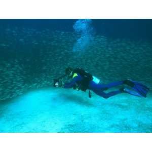 Diver with an Underwater Camera Swims Amidst Smooth Tailed Trevally 