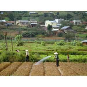 com Irrigating Fields Near Dalat, City in Central Highlands, Vietnam 