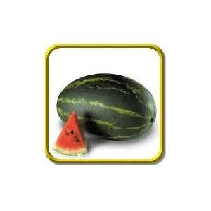 Lb   Watermelon Seeds   Cal Sweet Supreme Bulk Vegetable Seeds 