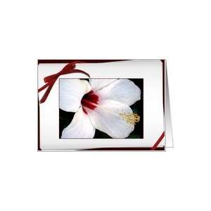 White Hibiscus Blank Note Card Card