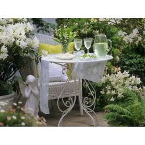  Meringues and Woodruff Punch on Romantic Garden Table 